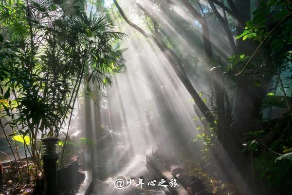 相扑选手大跳跃